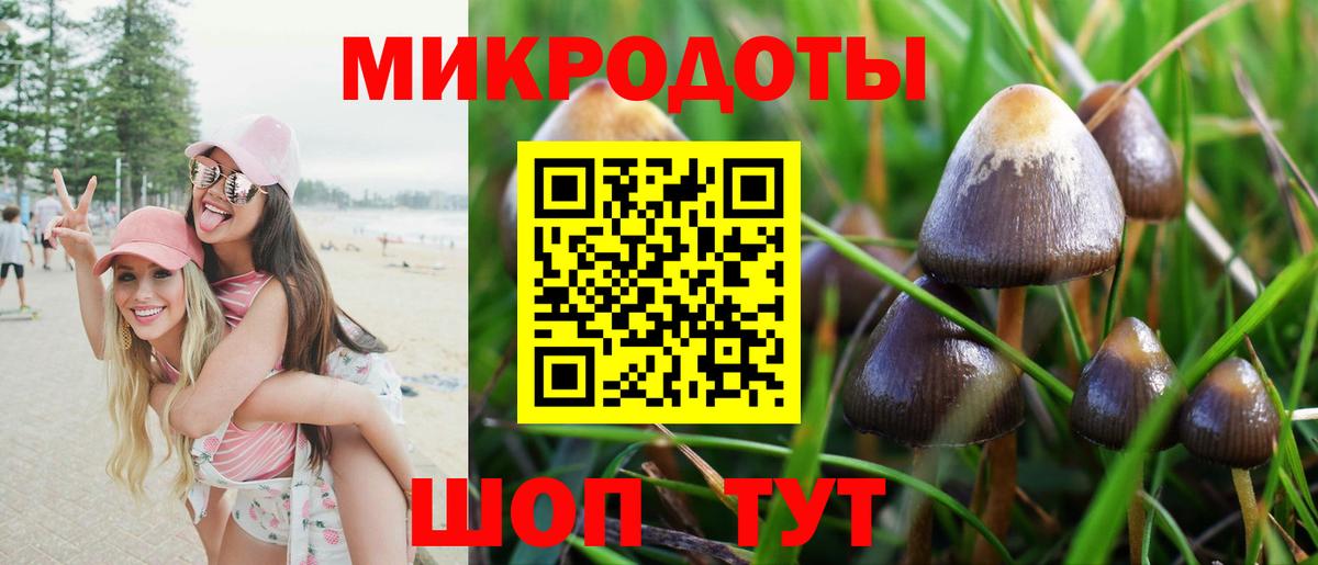 Галлюциногенные грибы мухоморы  где купить наркоту  Гагарин  Вход с VPN 