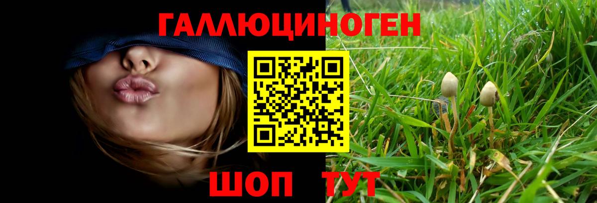 Галлюциногенные грибы мицелий Гагарин